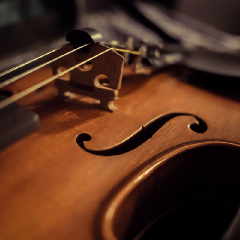 Live Violinist Performance