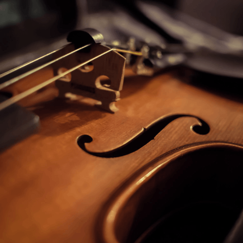 Live Violinist Performance for Weddings & Dinners in Tulum and Playa del CarmenPal Bodnar Magic Productions